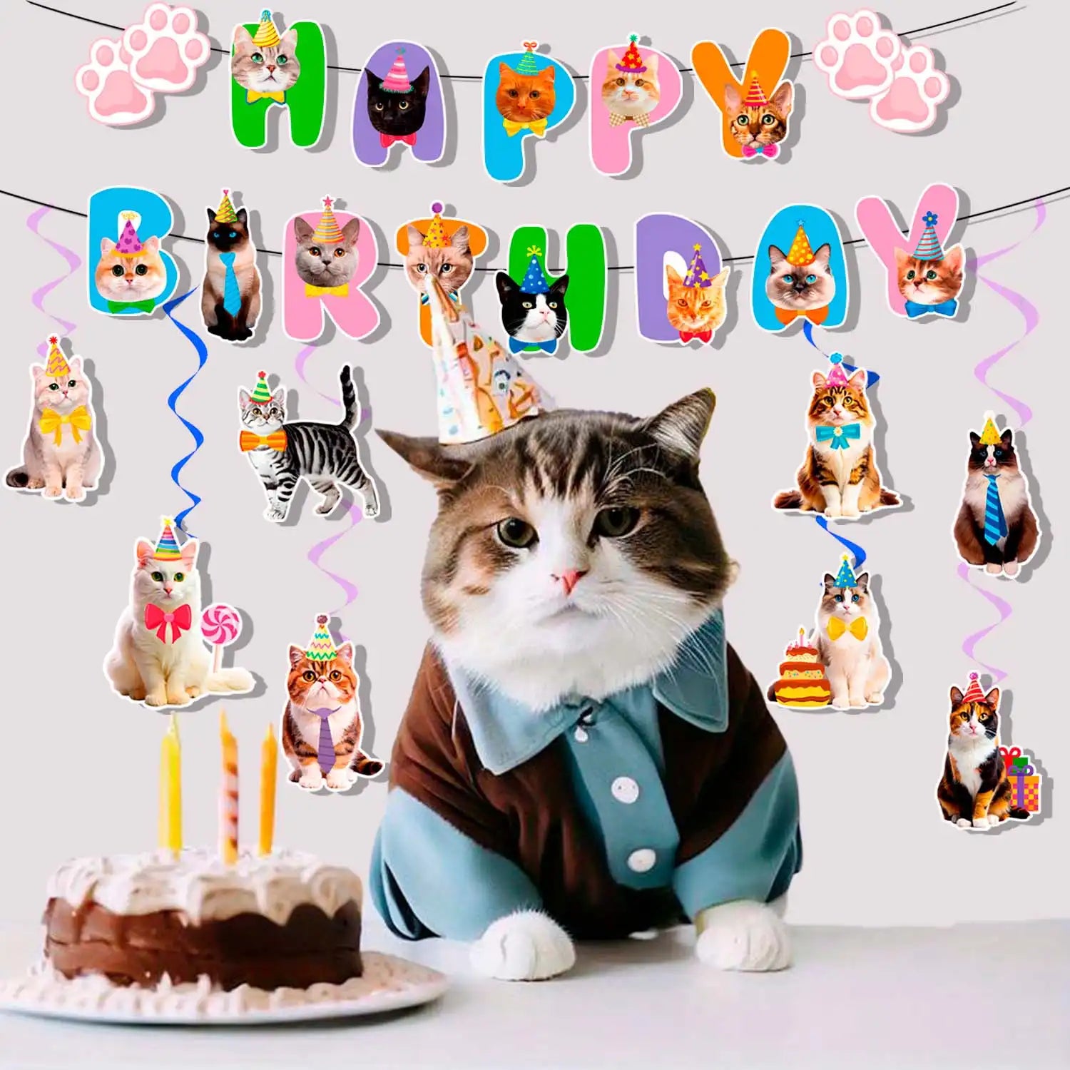 Cat Birthday Party Decorations, 9 Pcs Cat Birthday Decorations - Cat Themed Birthday Banner Balloon & Cat Swirl Decorations for Cat Themed Birthday Party Supplies